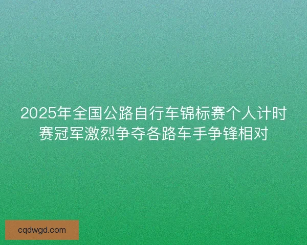 2025年全国公路自行车锦标赛个人计时赛冠军激烈争夺各路车手争锋相对